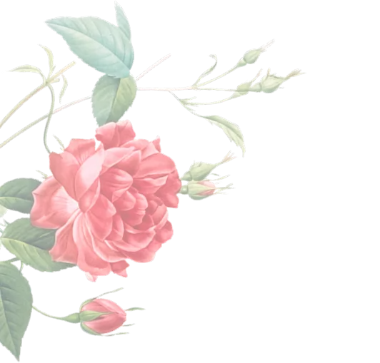 deco flower